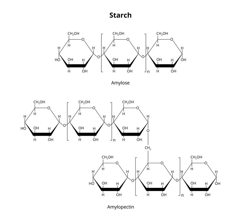 Calculating the Number of Molecules in Starch licensed image